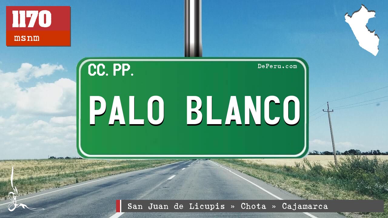 PALO BLANCO