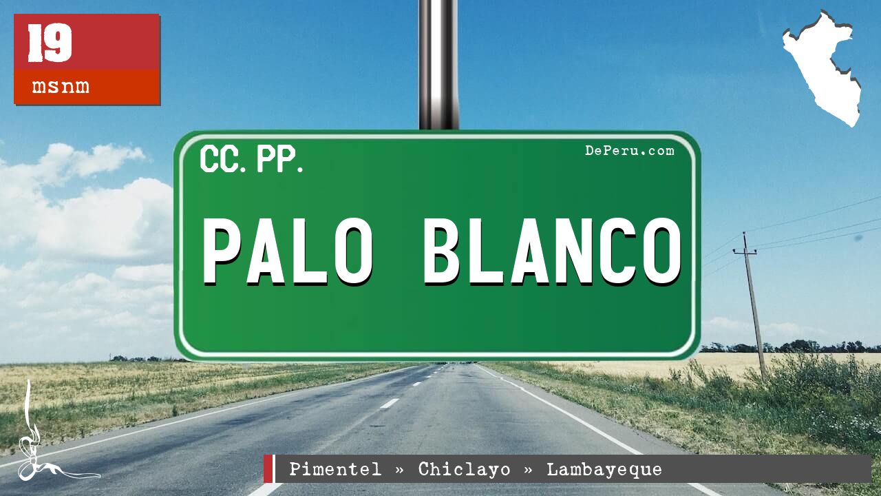 Palo Blanco