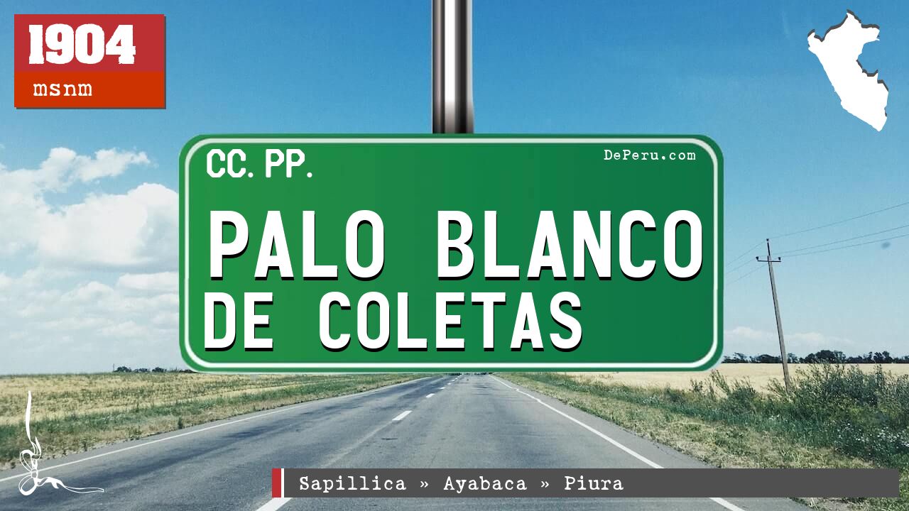 Palo Blanco de Coletas