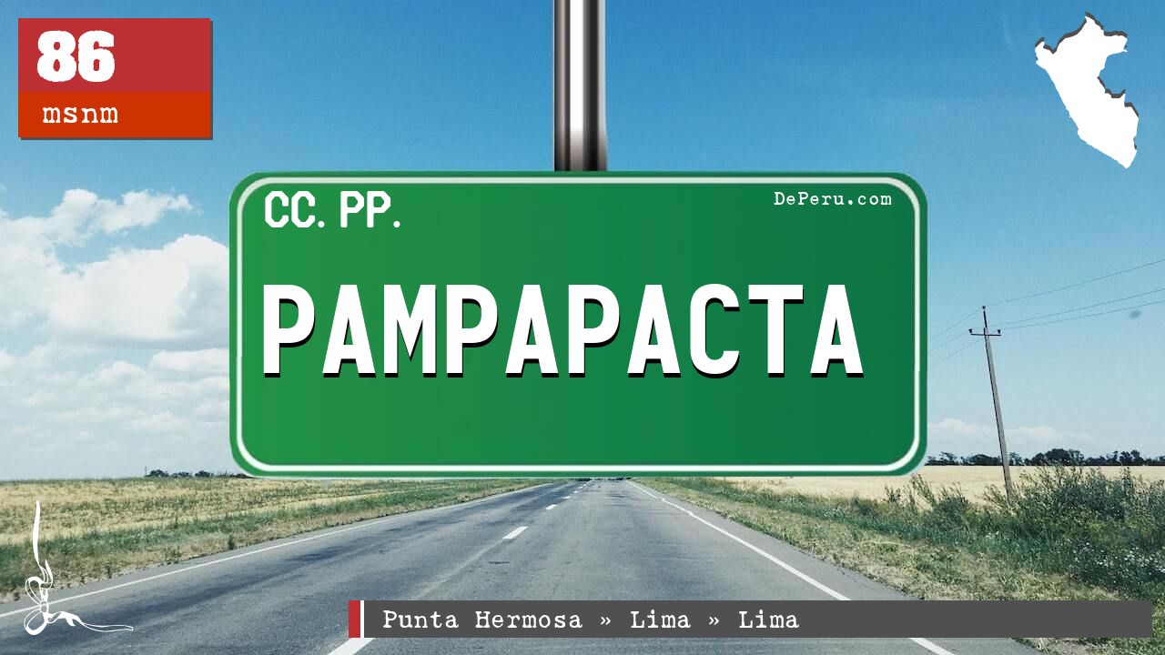 Pampapacta