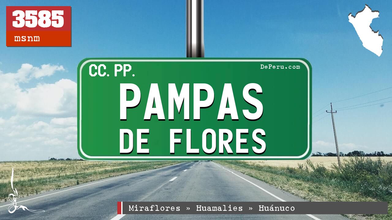 Pampas de Flores