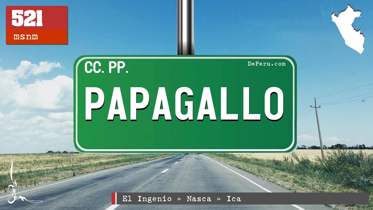 Papagallo