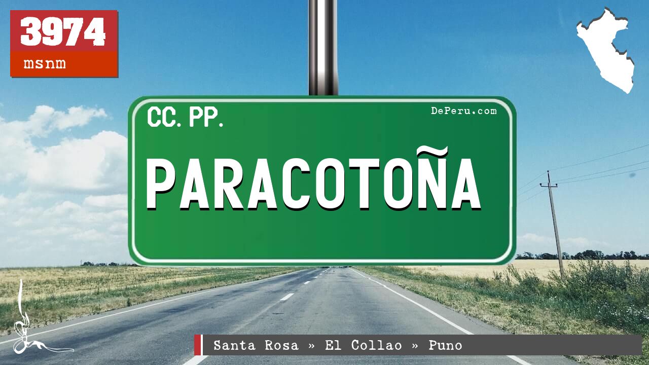 Paracotoa