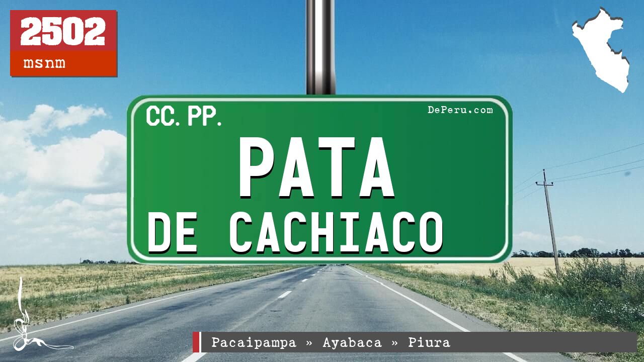 Pata de Cachiaco