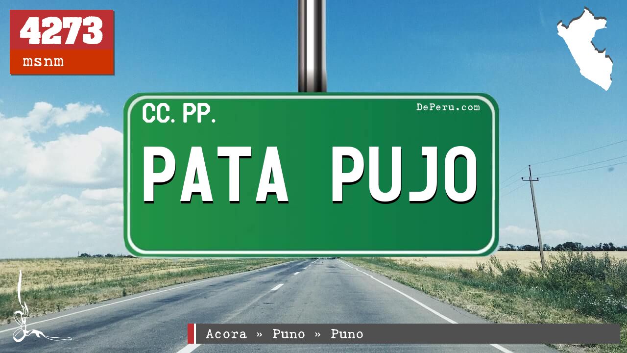 Pata Pujo