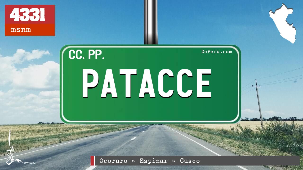 Patacce