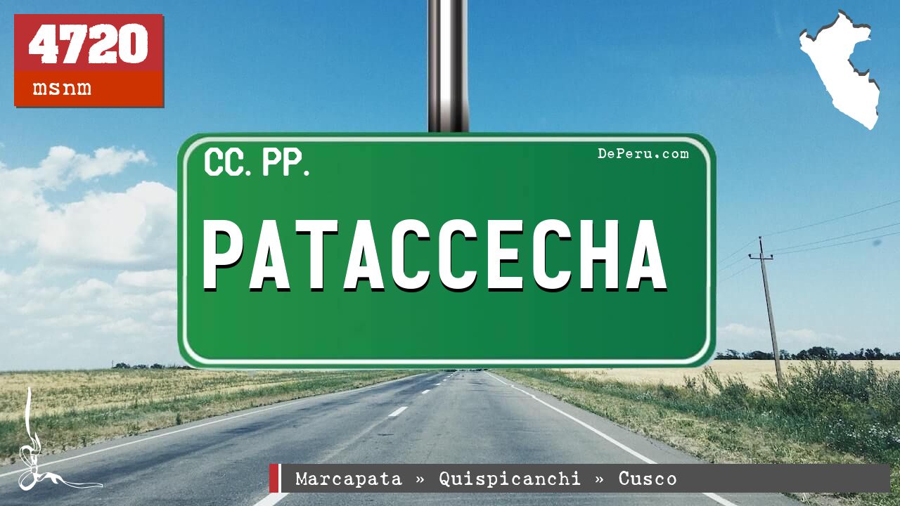 Pataccecha