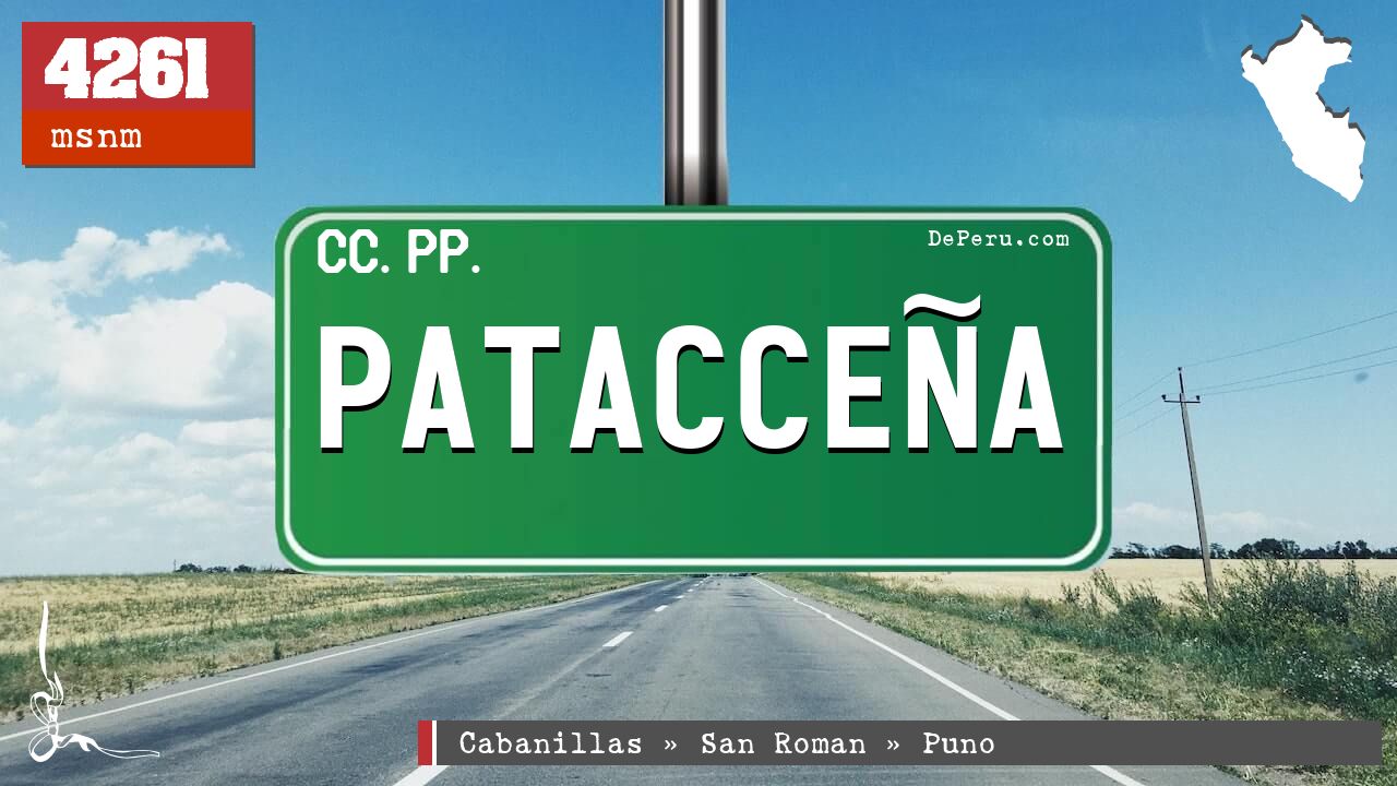 Pataccea