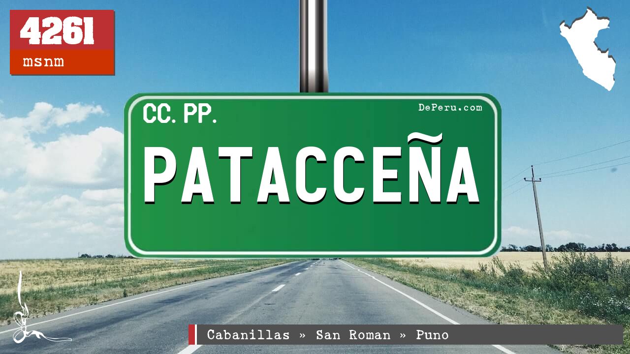 PATACCEA