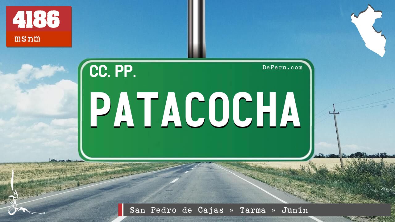 Patacocha