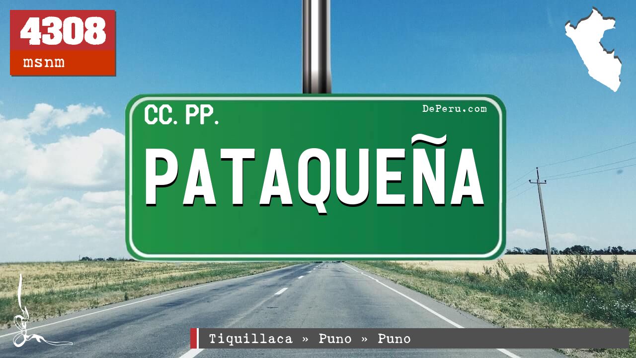 Pataqueña