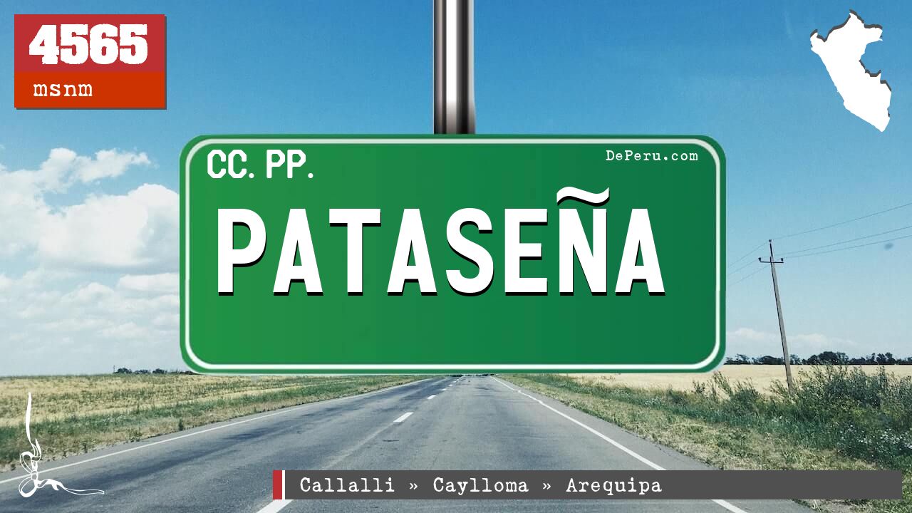 Patasea