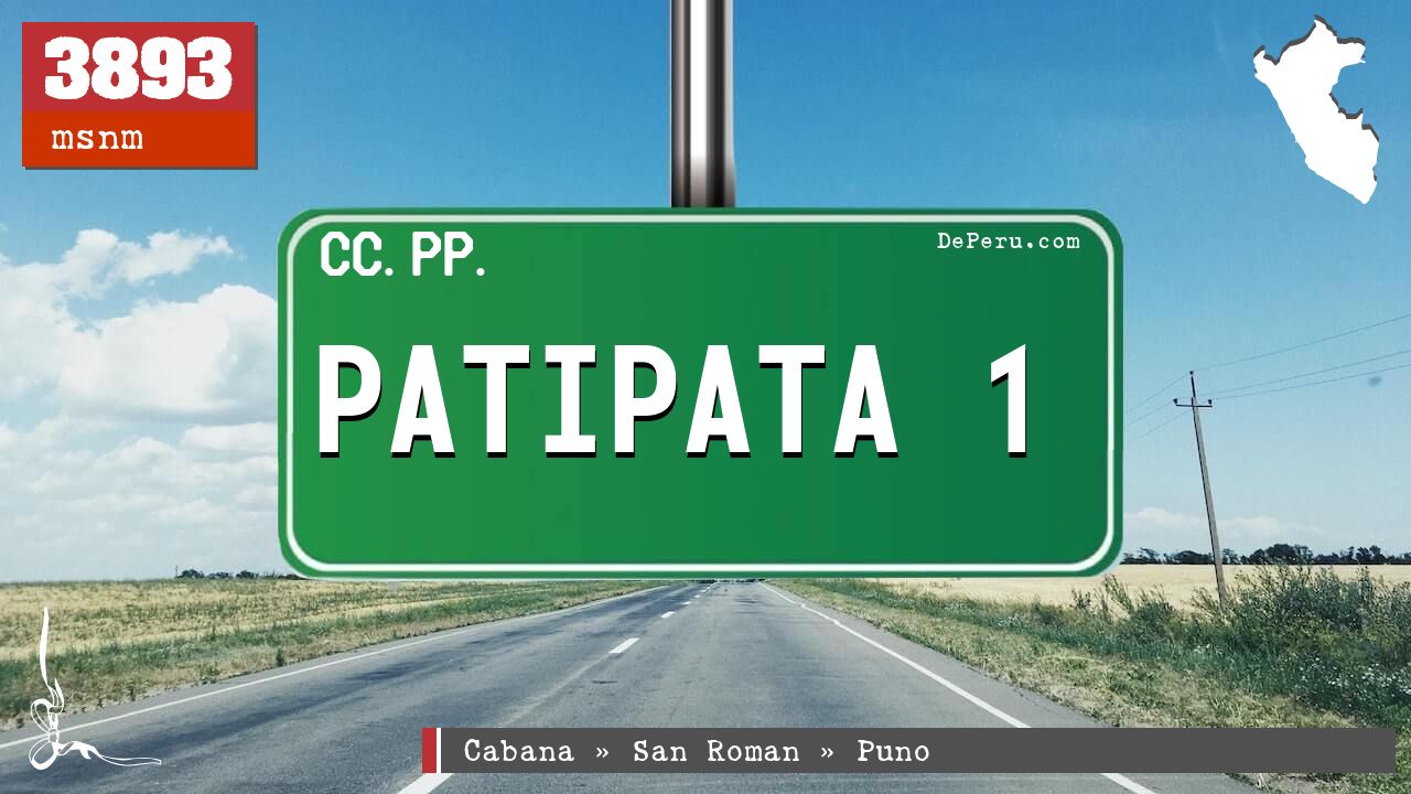 PATIPATA 1