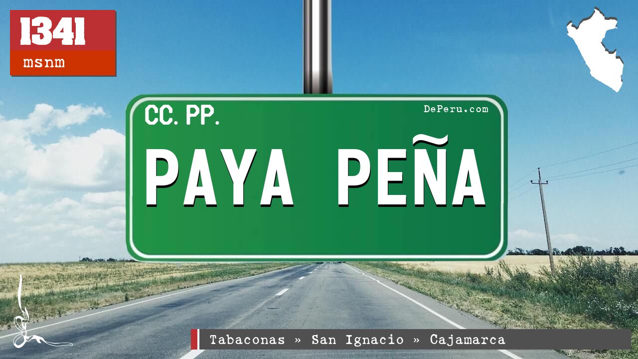 PAYA PEA