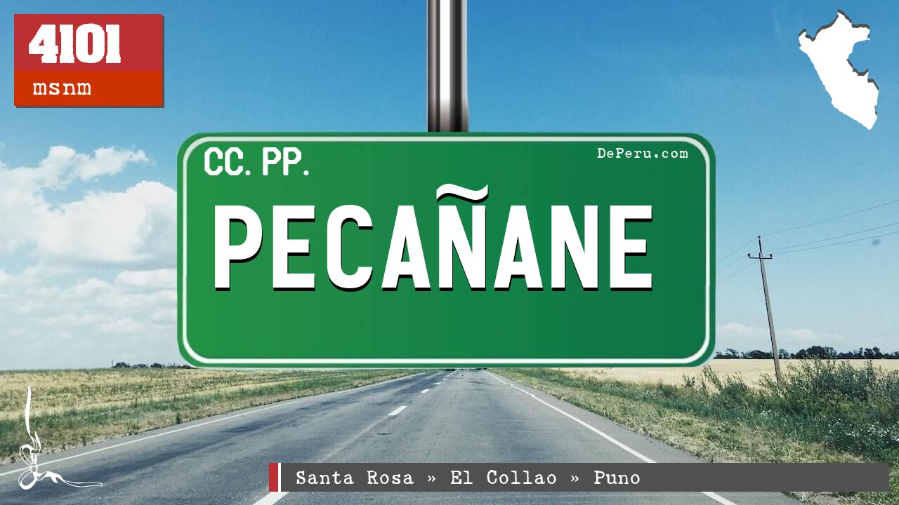 Pecaane