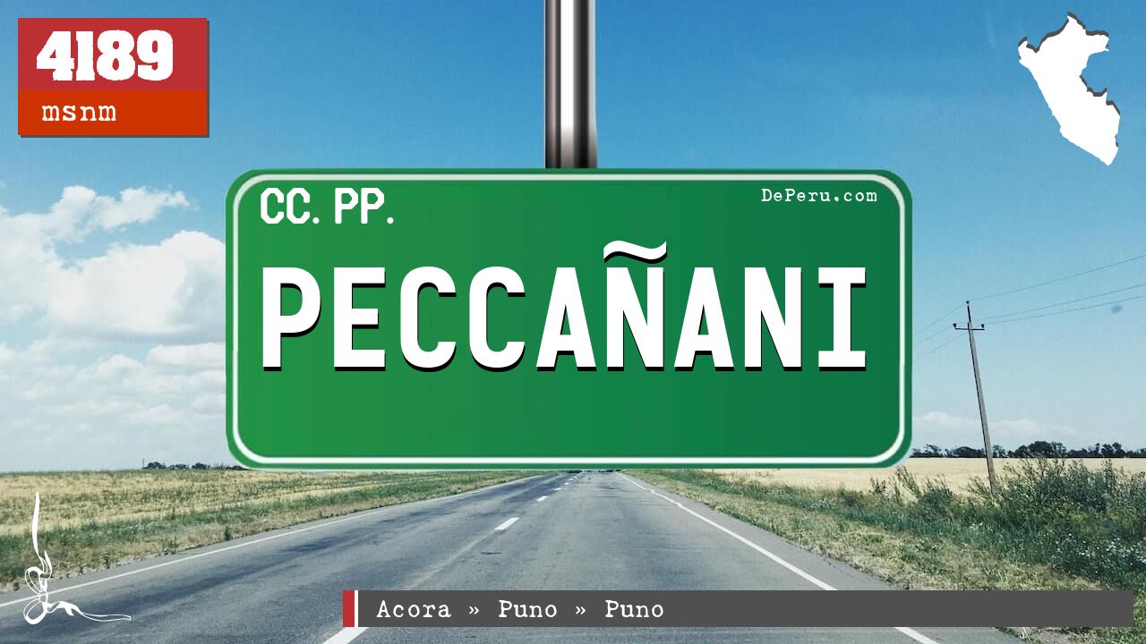 Peccaani