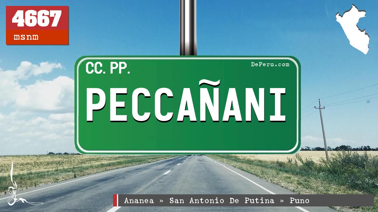 PECCAANI