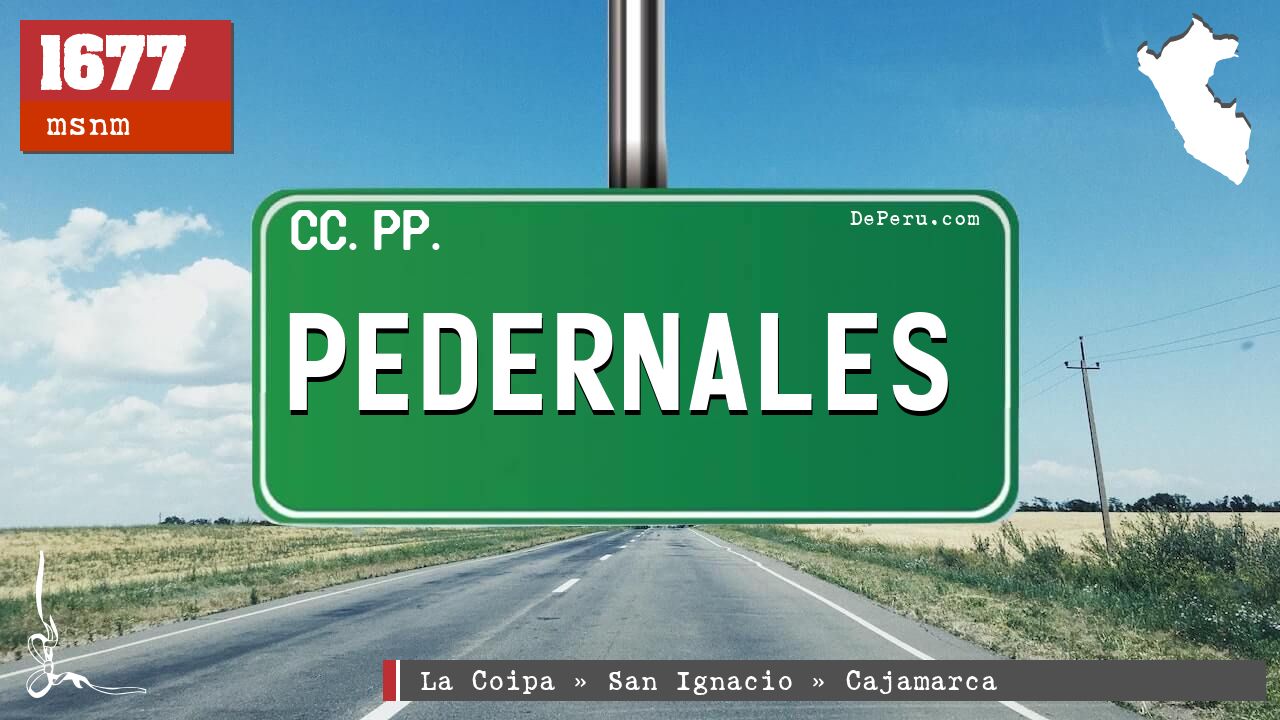 Pedernales