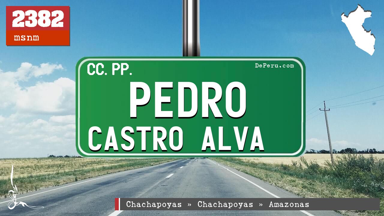 Pedro Castro Alva