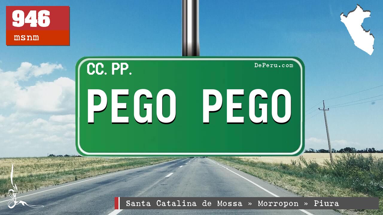 PEGO PEGO
