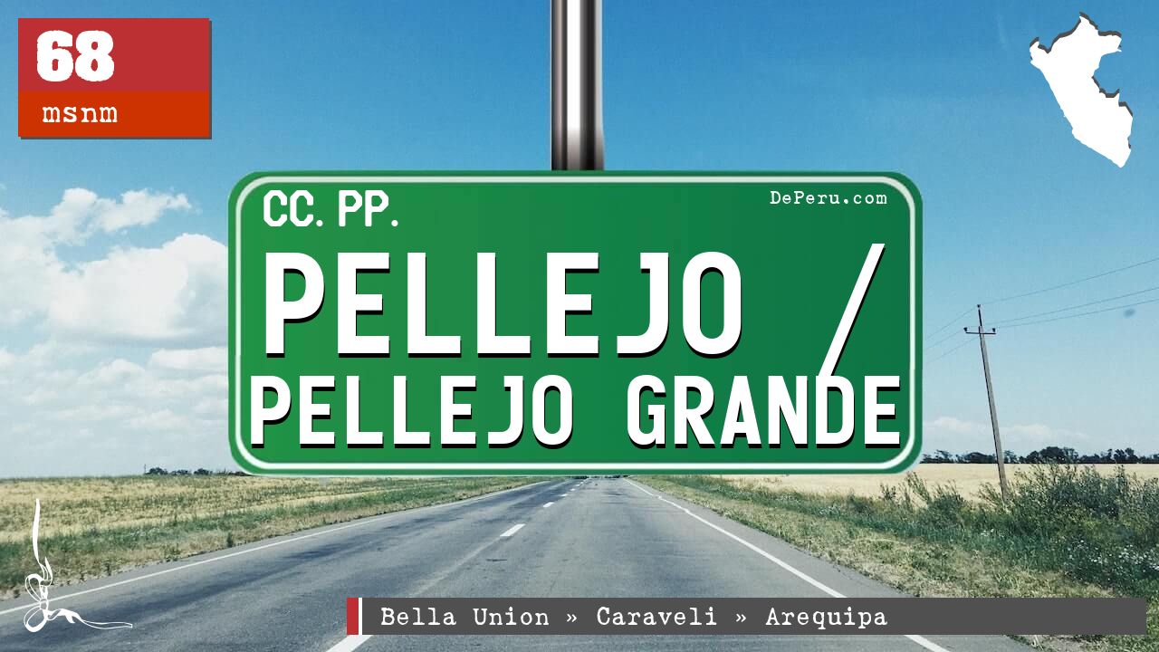 Pellejo / Pellejo Grande