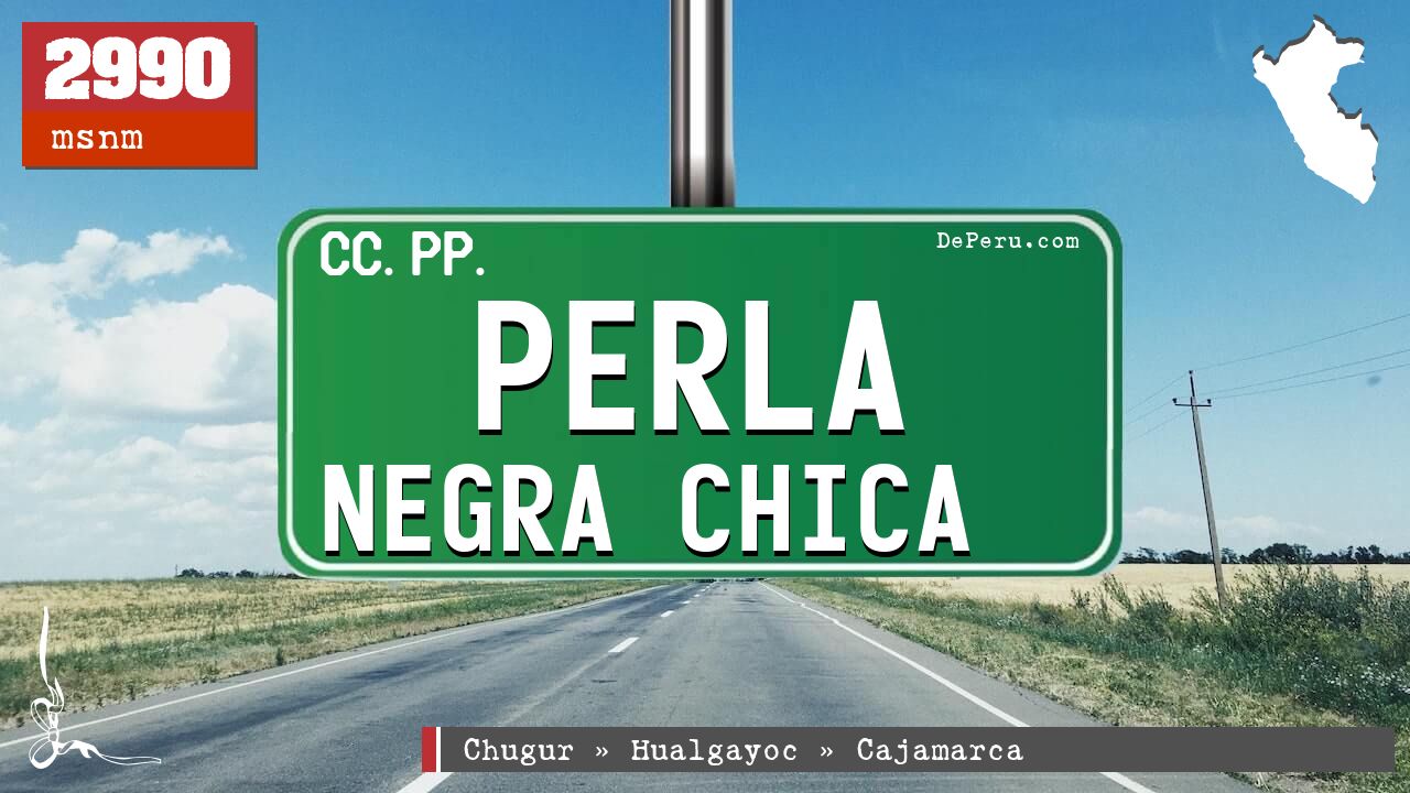 Perla Negra Chica