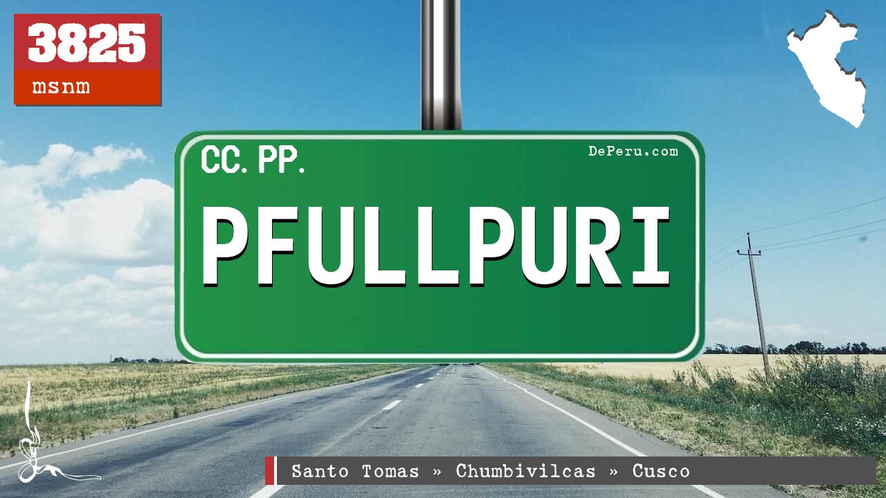 Pfullpuri