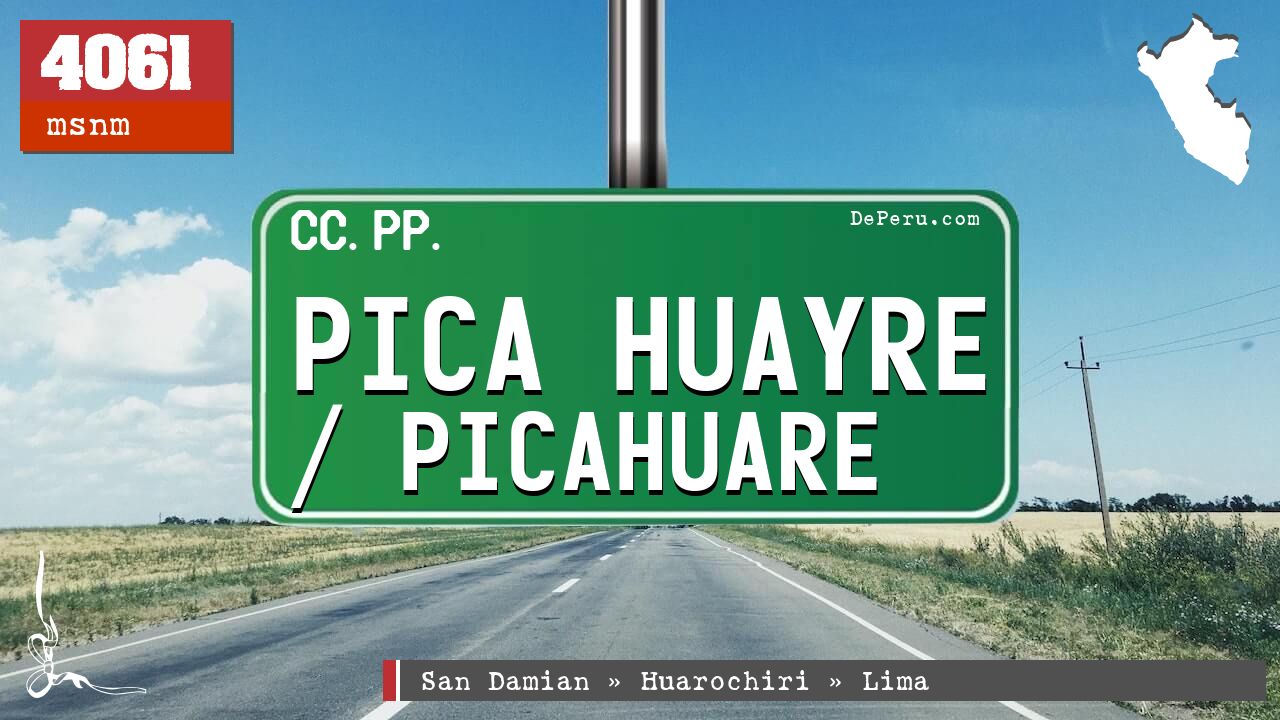 PICA HUAYRE