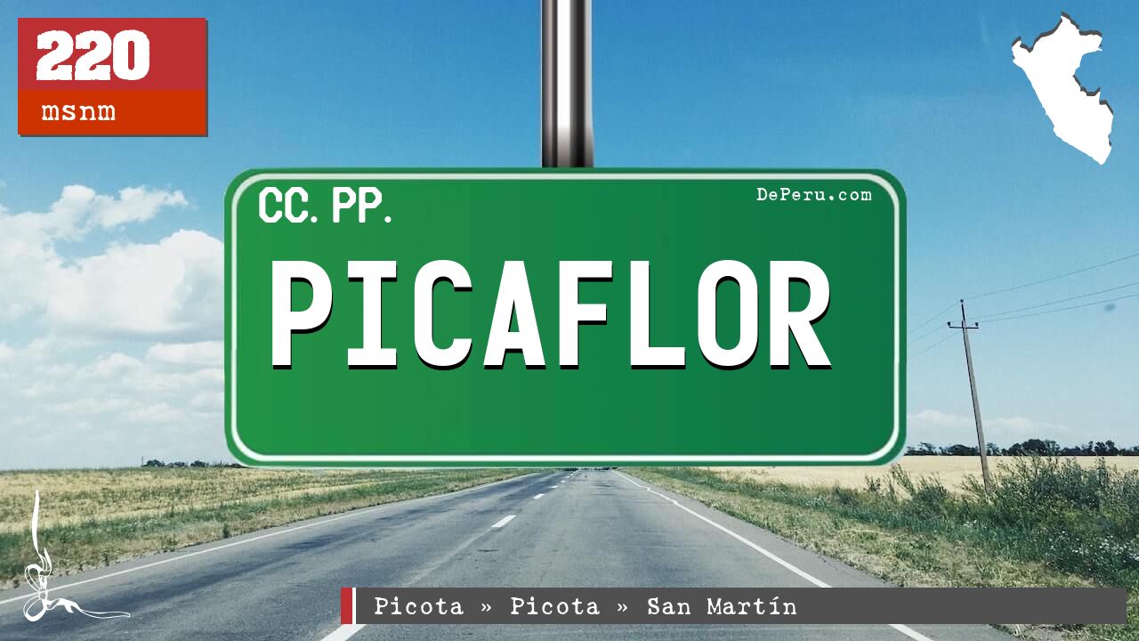 Picaflor