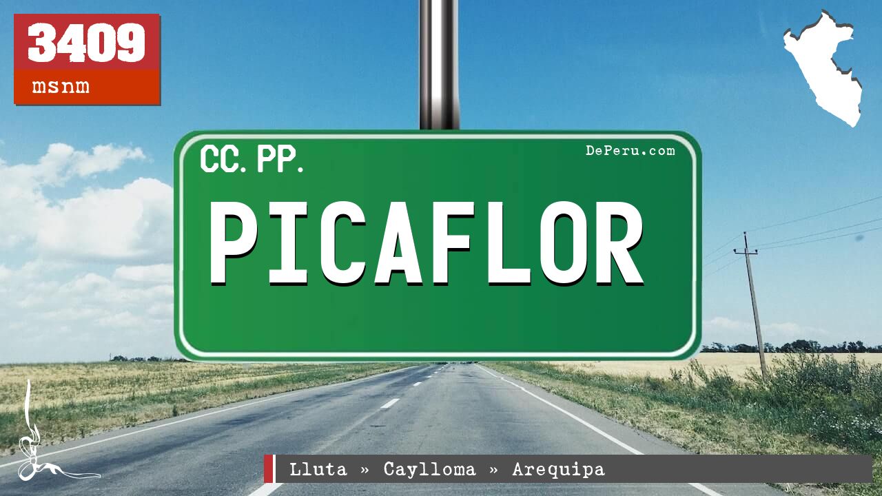 Picaflor