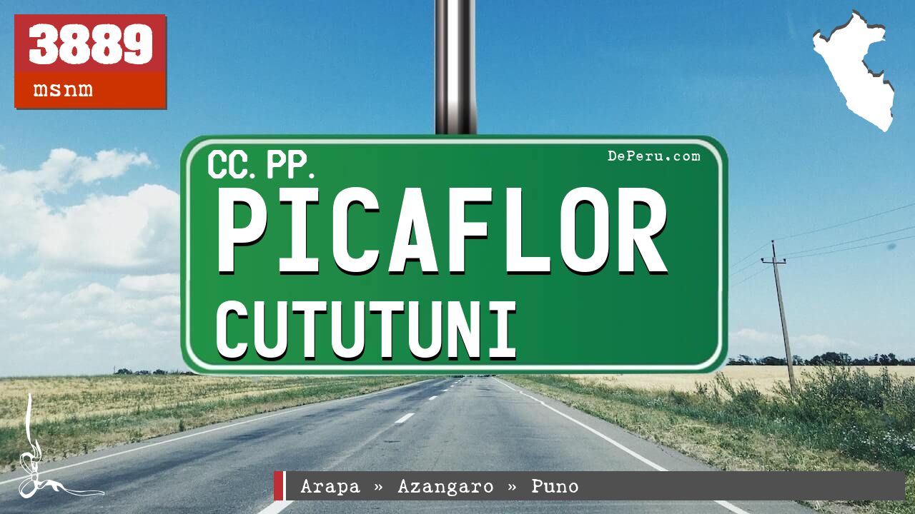 Picaflor Cututuni