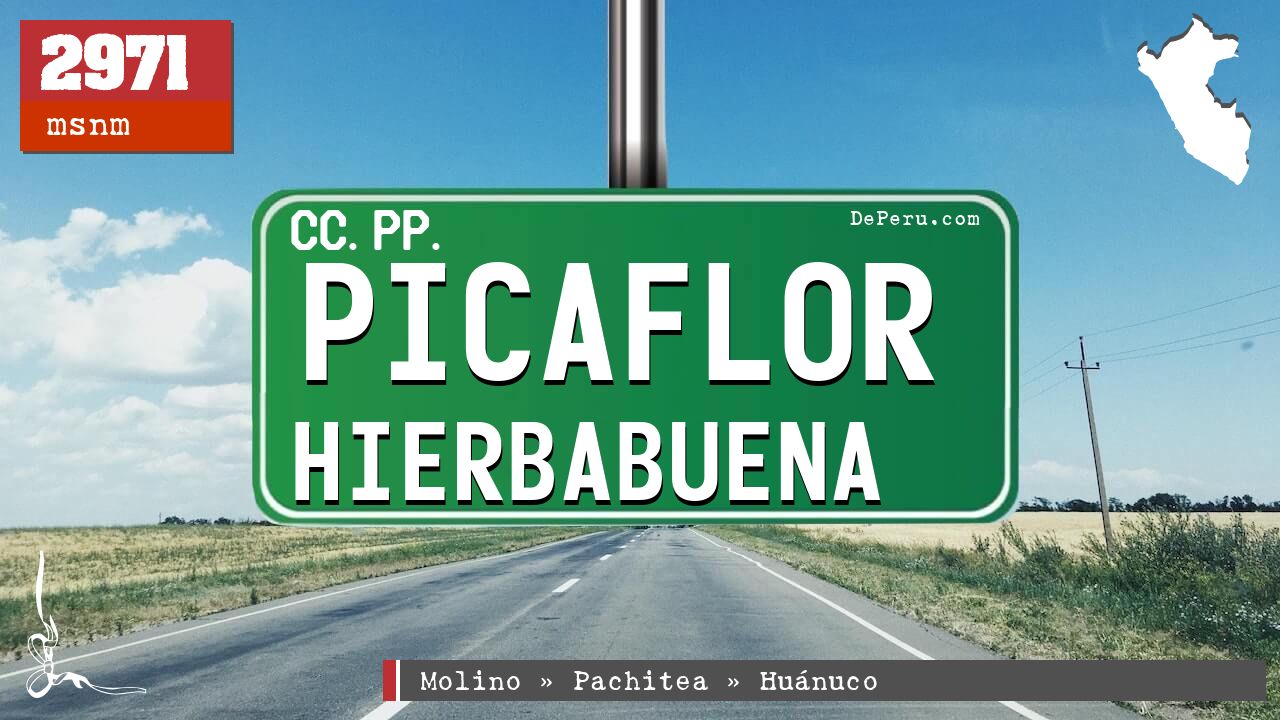 Picaflor Hierbabuena