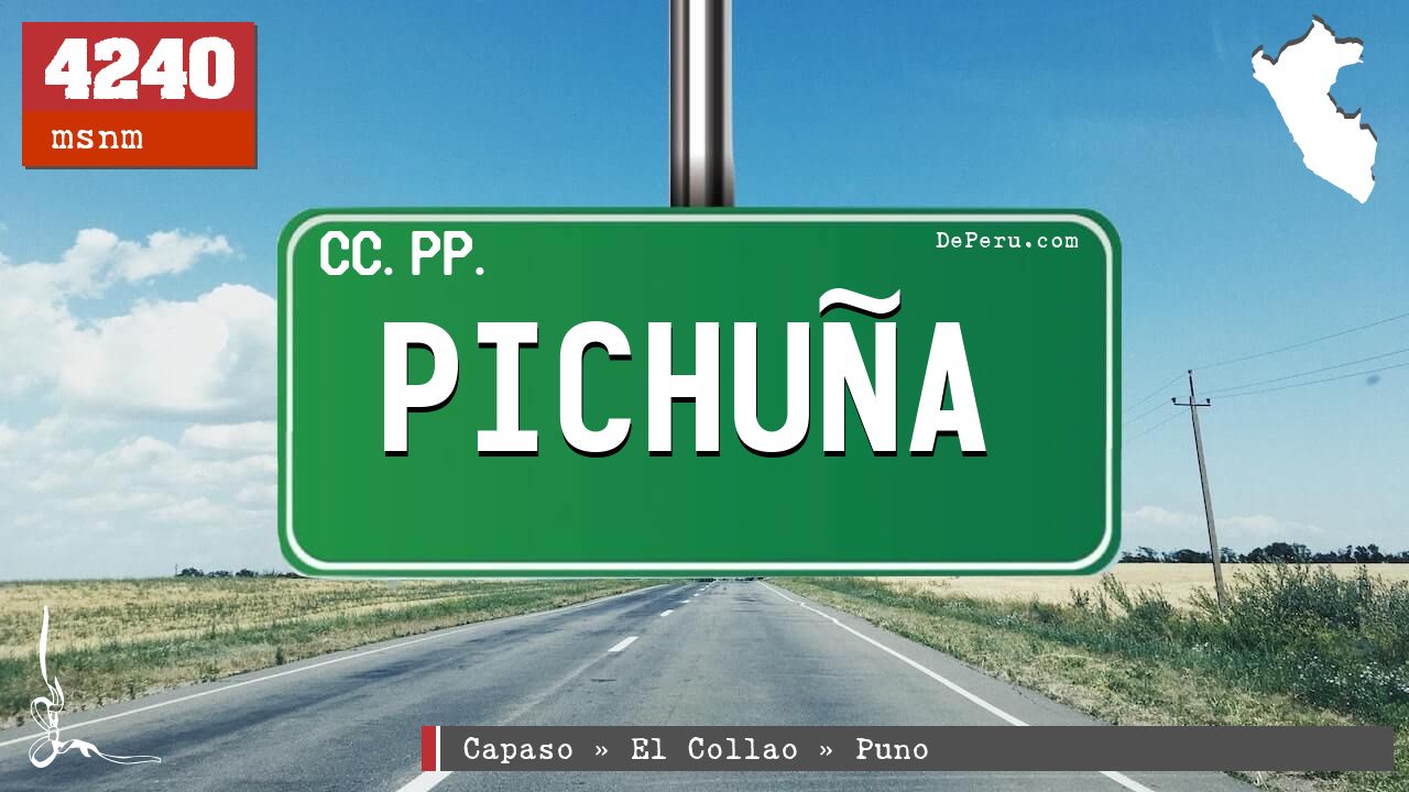 Pichuña