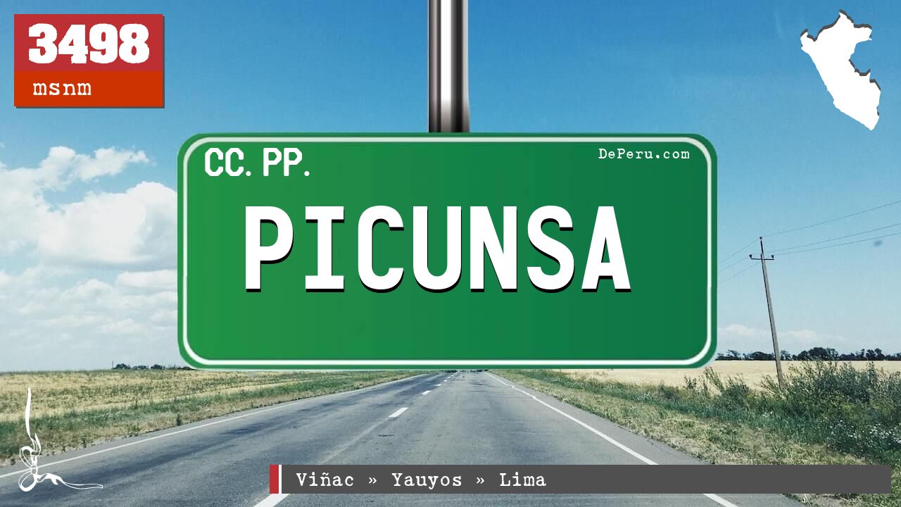 Picunsa
