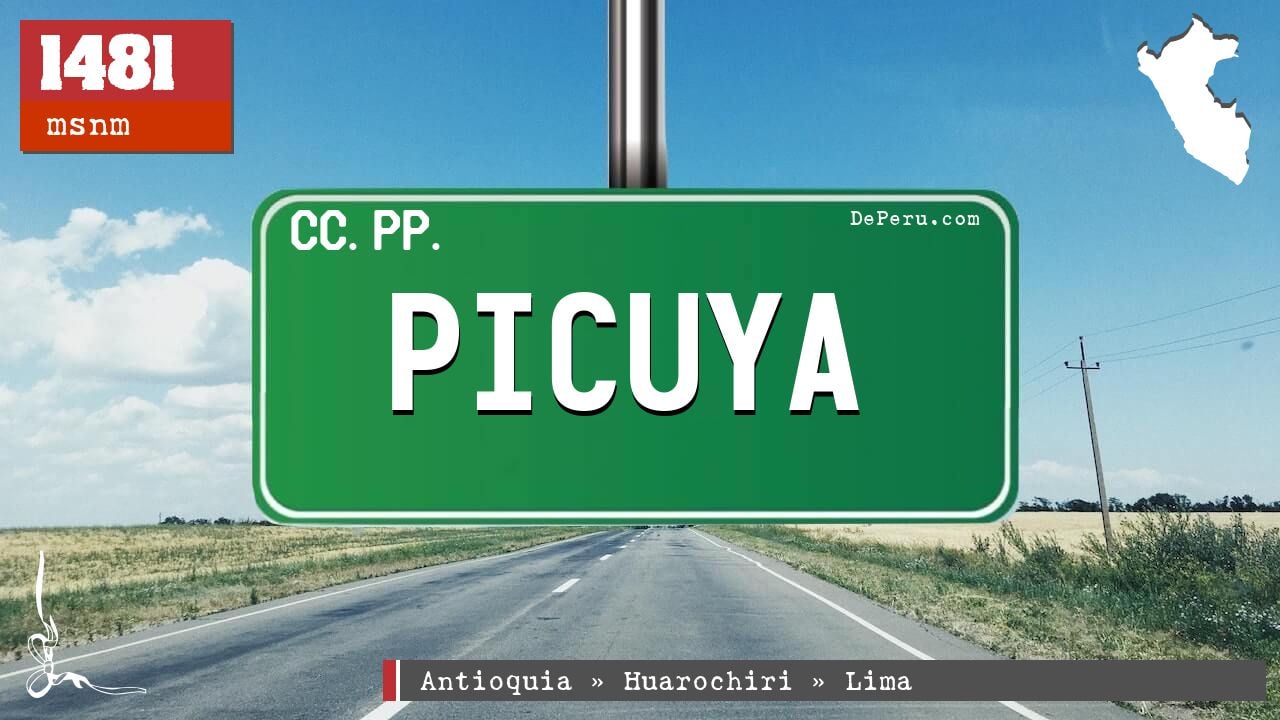 Picuya