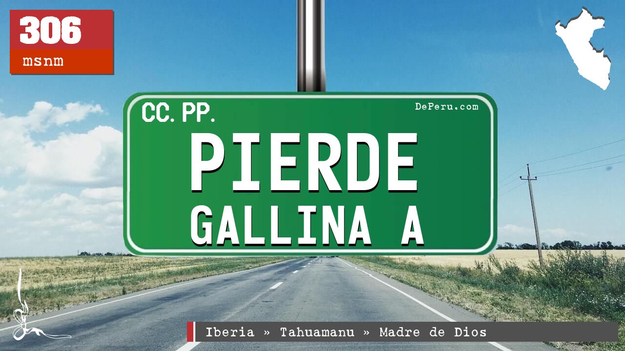 Pierde Gallina A