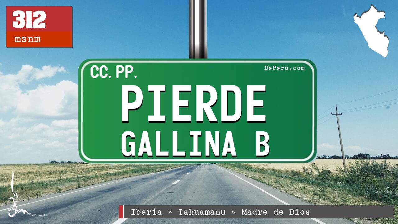 Pierde Gallina B