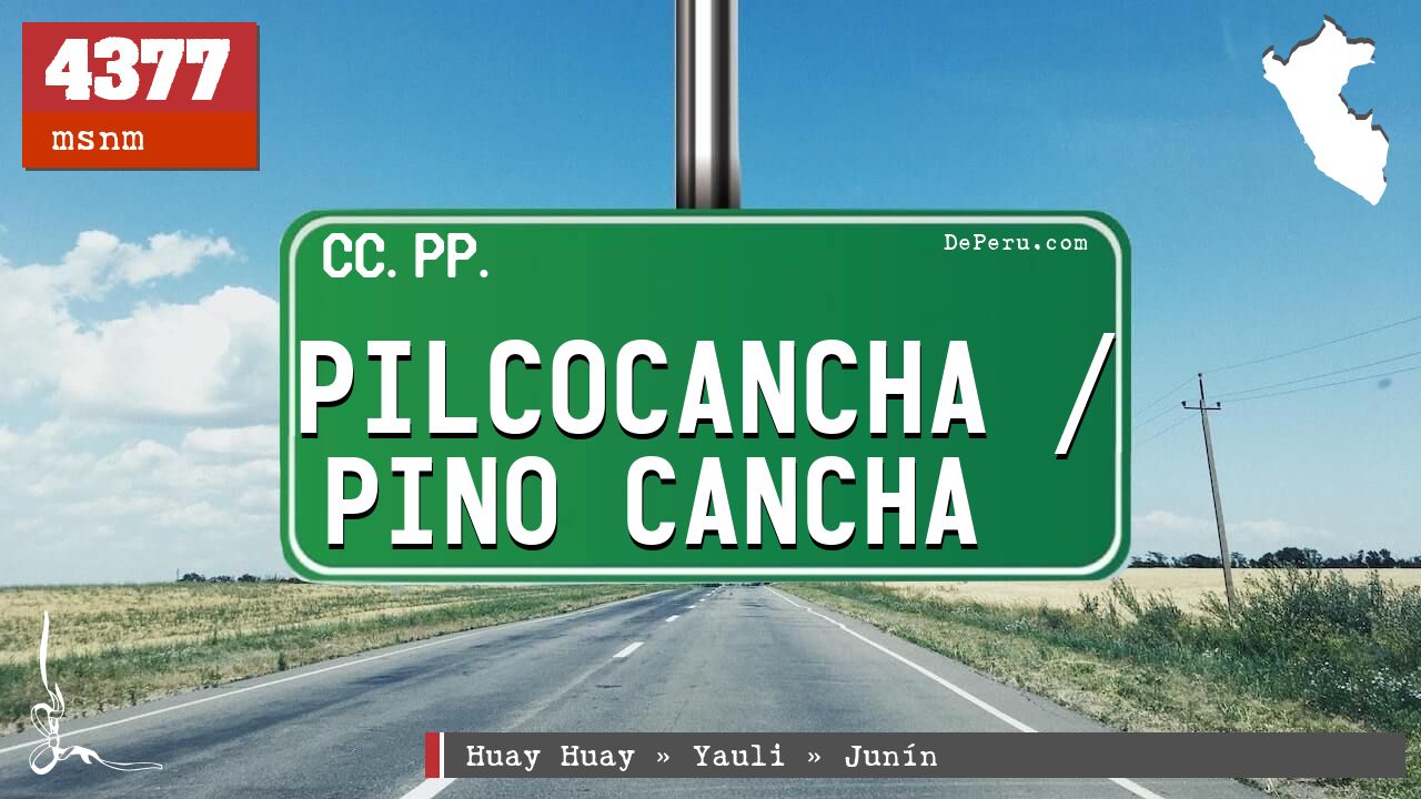 Pilcocancha / Pino Cancha