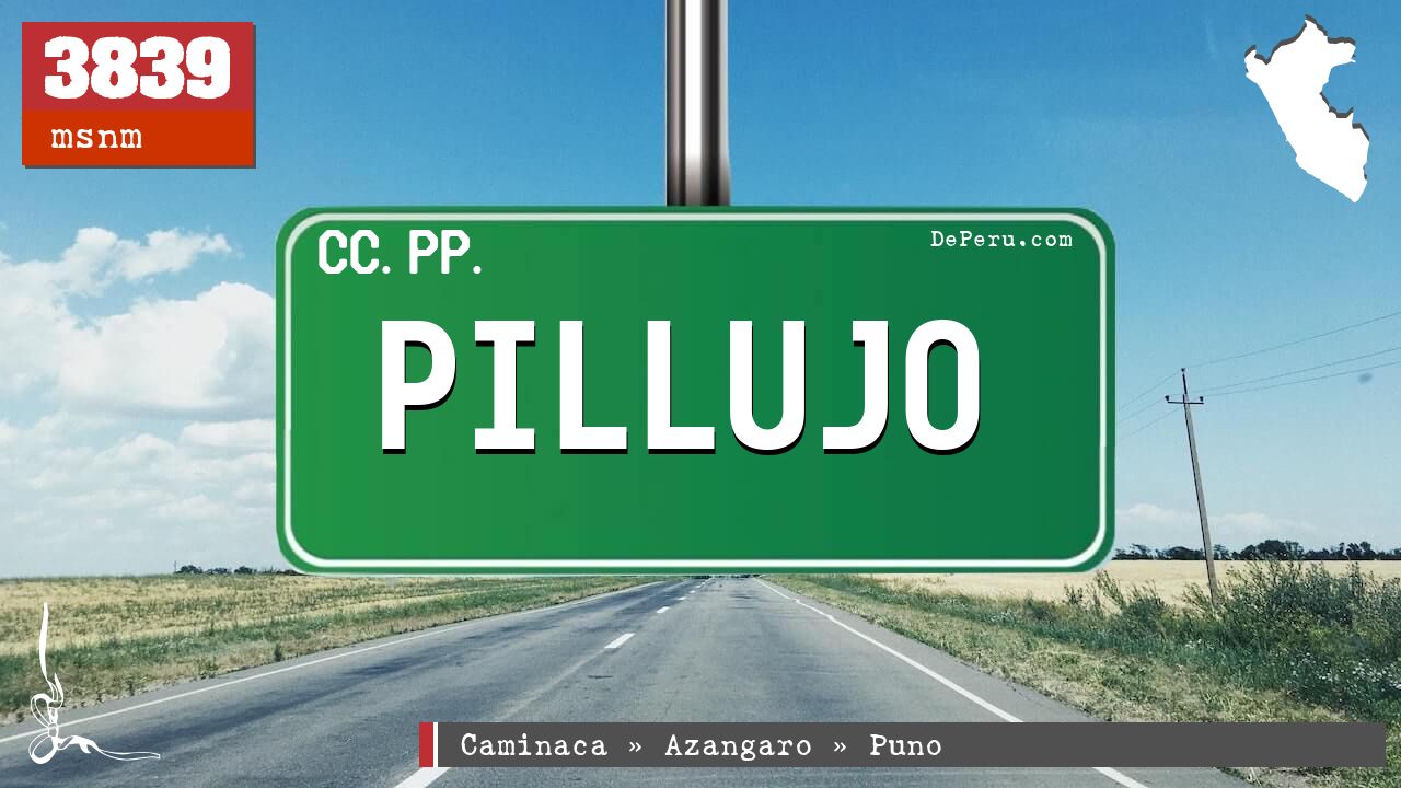 Pillujo