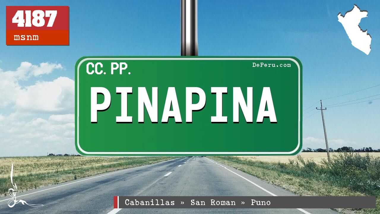 Pinapina