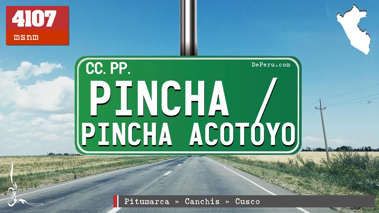 Pincha / Pincha Acotoyo
