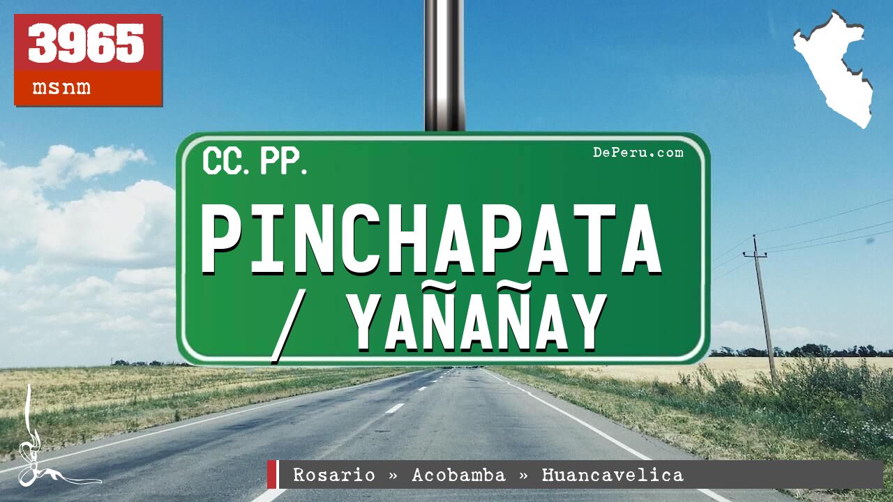 PINCHAPATA