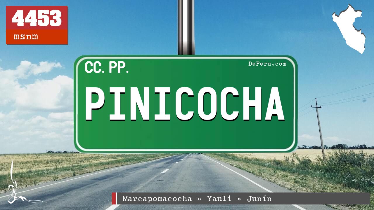 Pinicocha