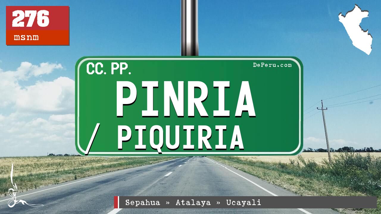 Pinria / Piquiria
