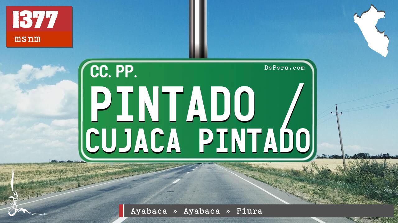 PINTADO /