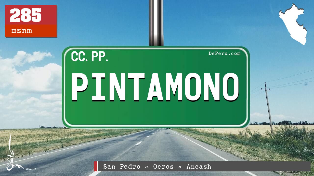 Pintamono