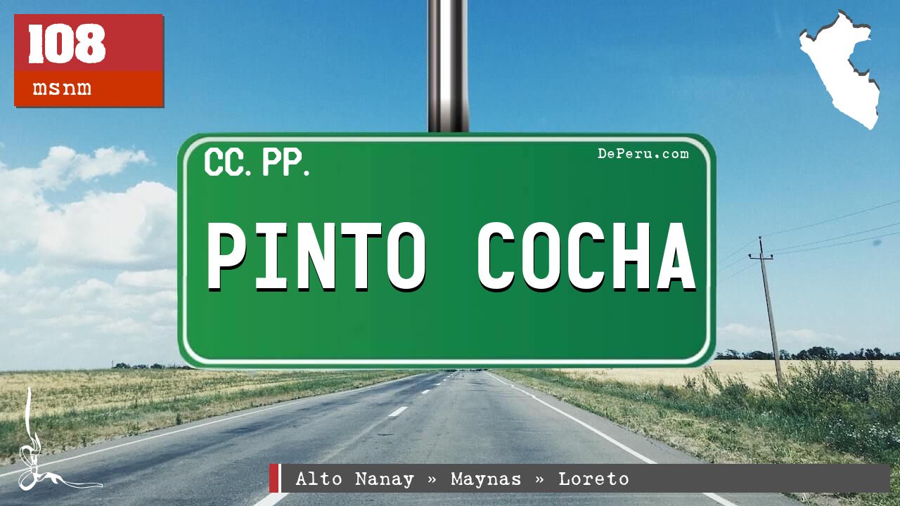 PINTO COCHA