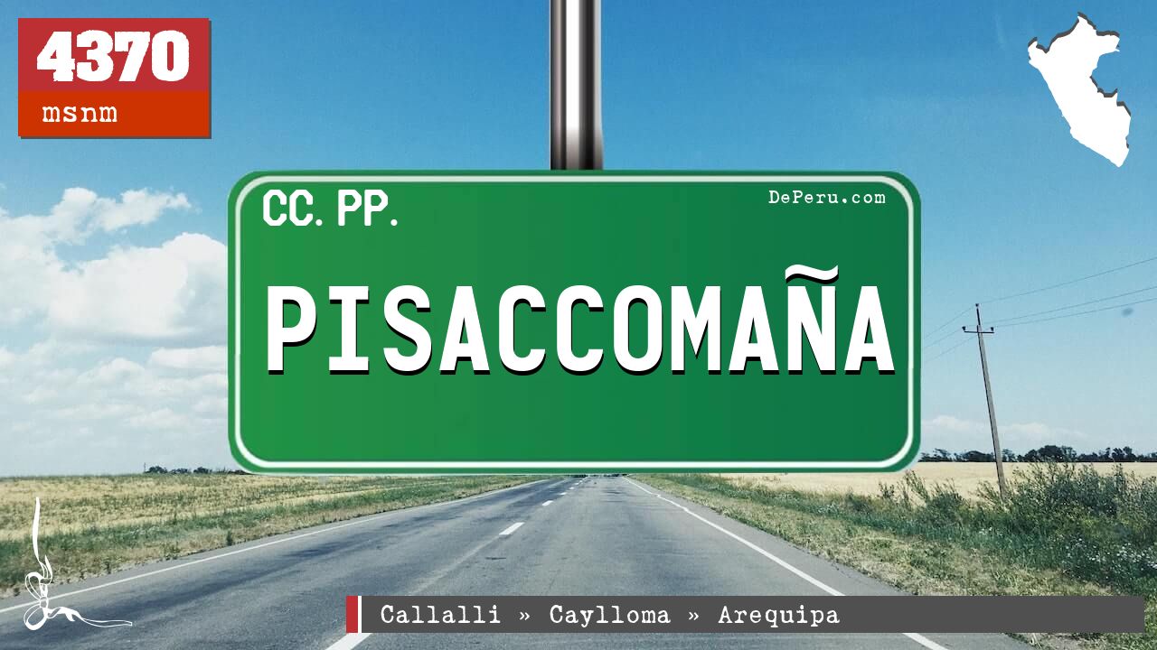 PISACCOMAA