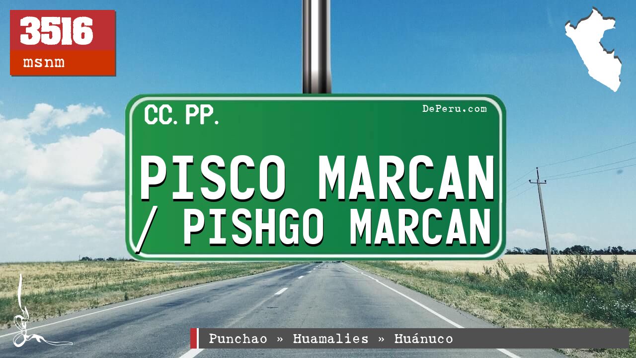 Pisco Marcan / Pishgo Marcan
