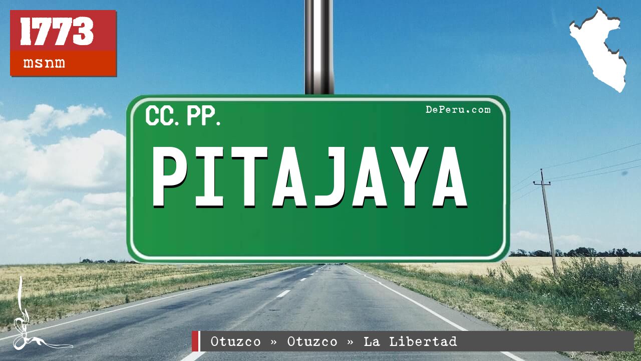 Pitajaya